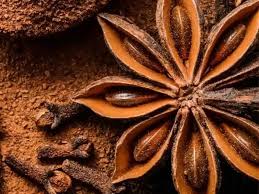 โป๊ยกั๊ก/ STAR ANISE